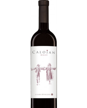 Caloian Merlot 2018 | Crama Oprisor | Plaiurile Drancei